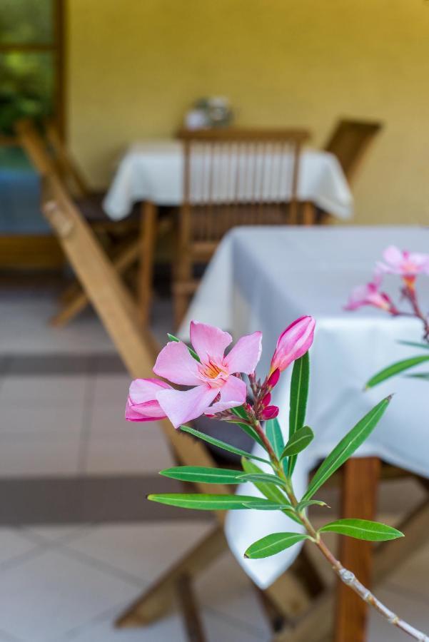 Regia Panzio Bed & Breakfast Halaszi Bagian luar foto
