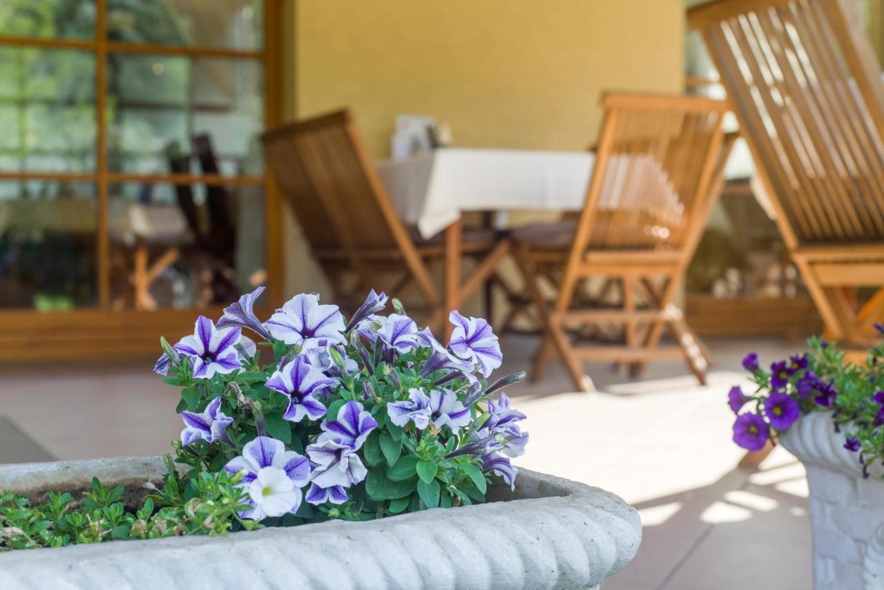 Regia Panzio Bed & Breakfast Halaszi Bagian luar foto